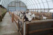 The interior of an Iron Horse agricultural building is light and airy.