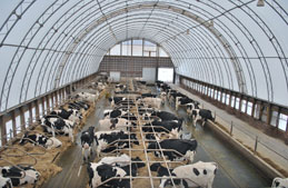 http://ironhorsestructures.com/uploads/images/category_landings/features_259x169/agricultural_ventilation.jpg